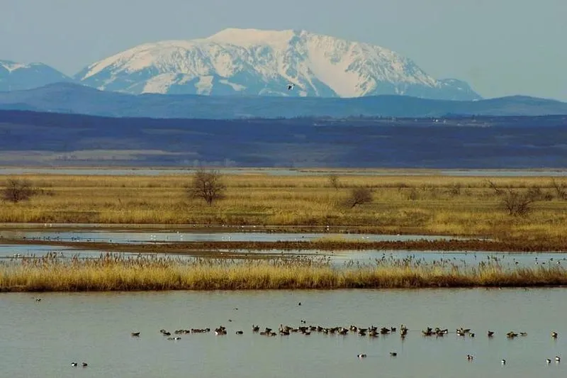 Fertő_tó_a_Schneeberggel.webp